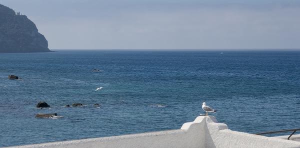 Ischia - 2026-04