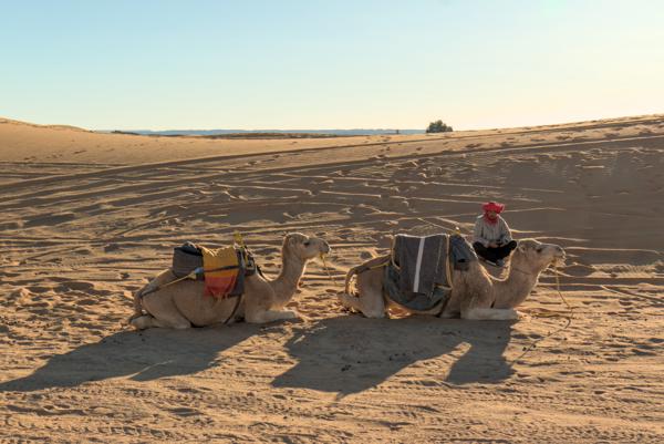 Desert